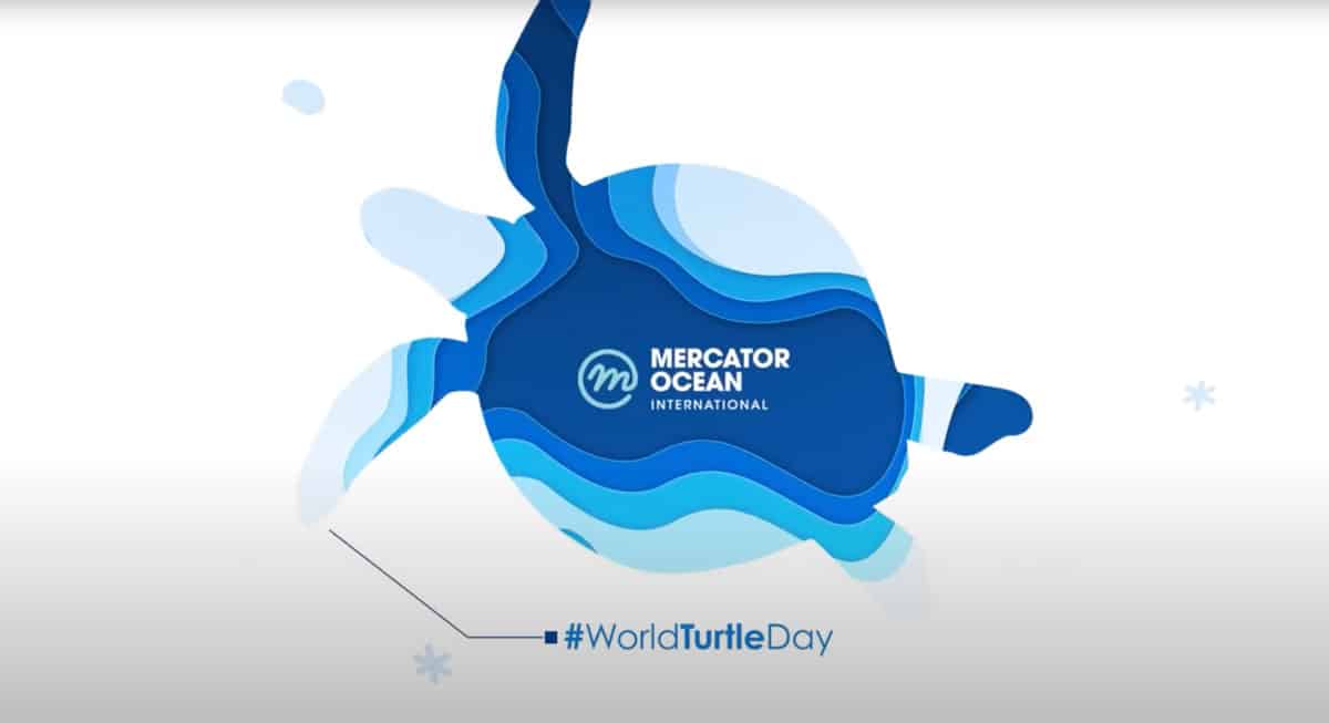 Vidéo éducative #WorldTurtleDay